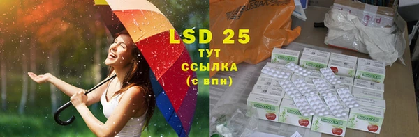 прущие грибы Зерноград