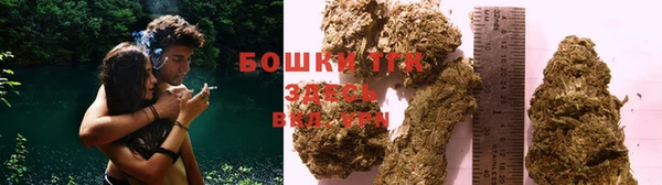 прущие грибы Зерноград