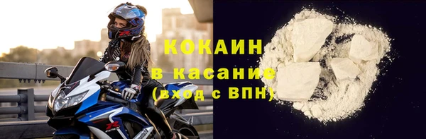 прущие грибы Зерноград