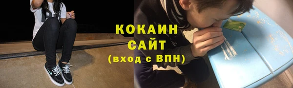 прущие грибы Зерноград