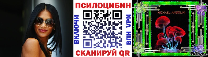 Купить закладки  Кушва  Псилоцибиновые грибы Psilocybine cubensis 